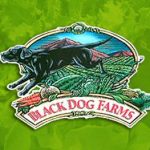 Black Dog Farms